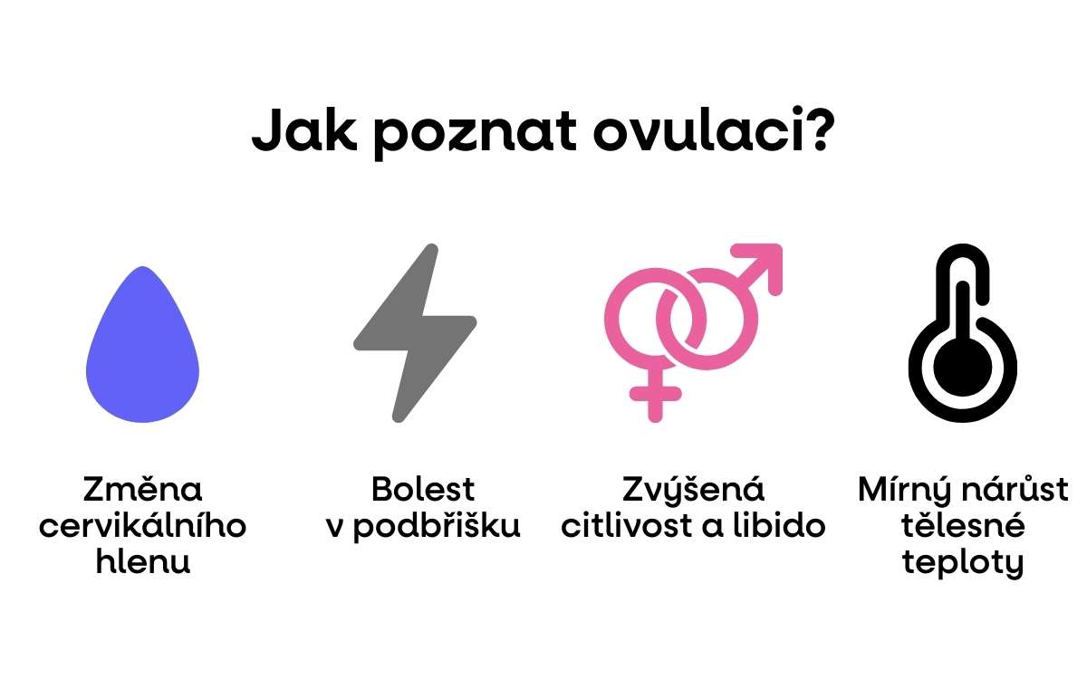 jak poznat ovulace